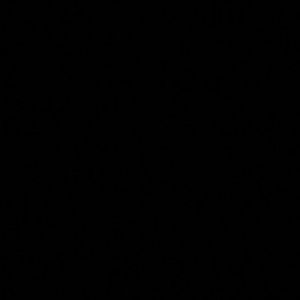 Meet your Posher, Cesar